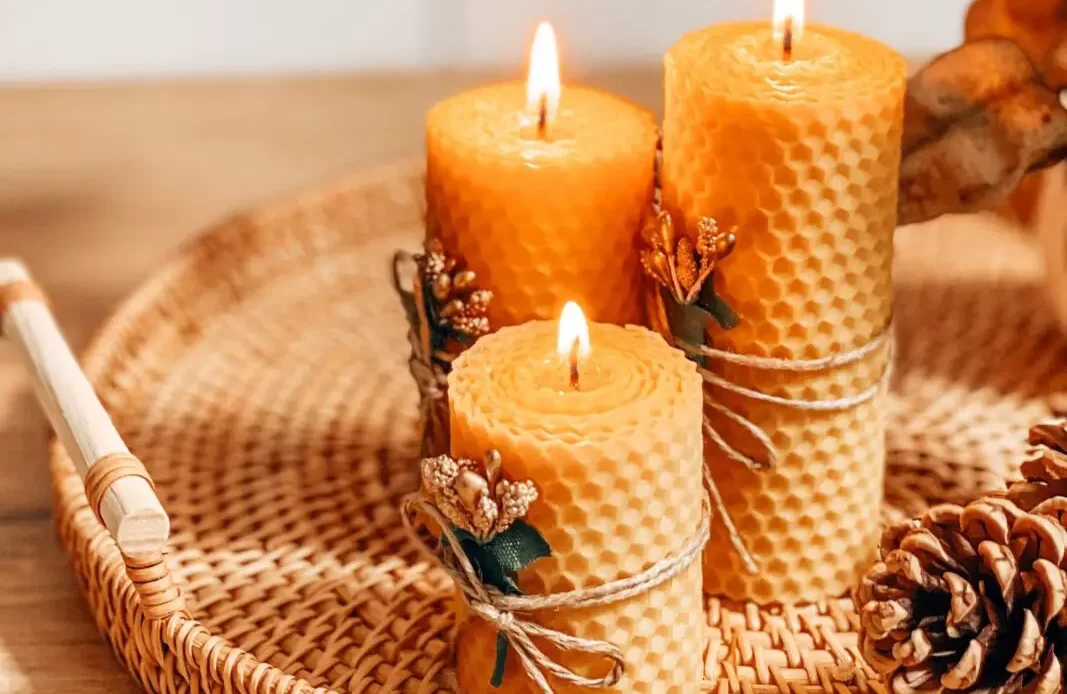 Beeswax Candles